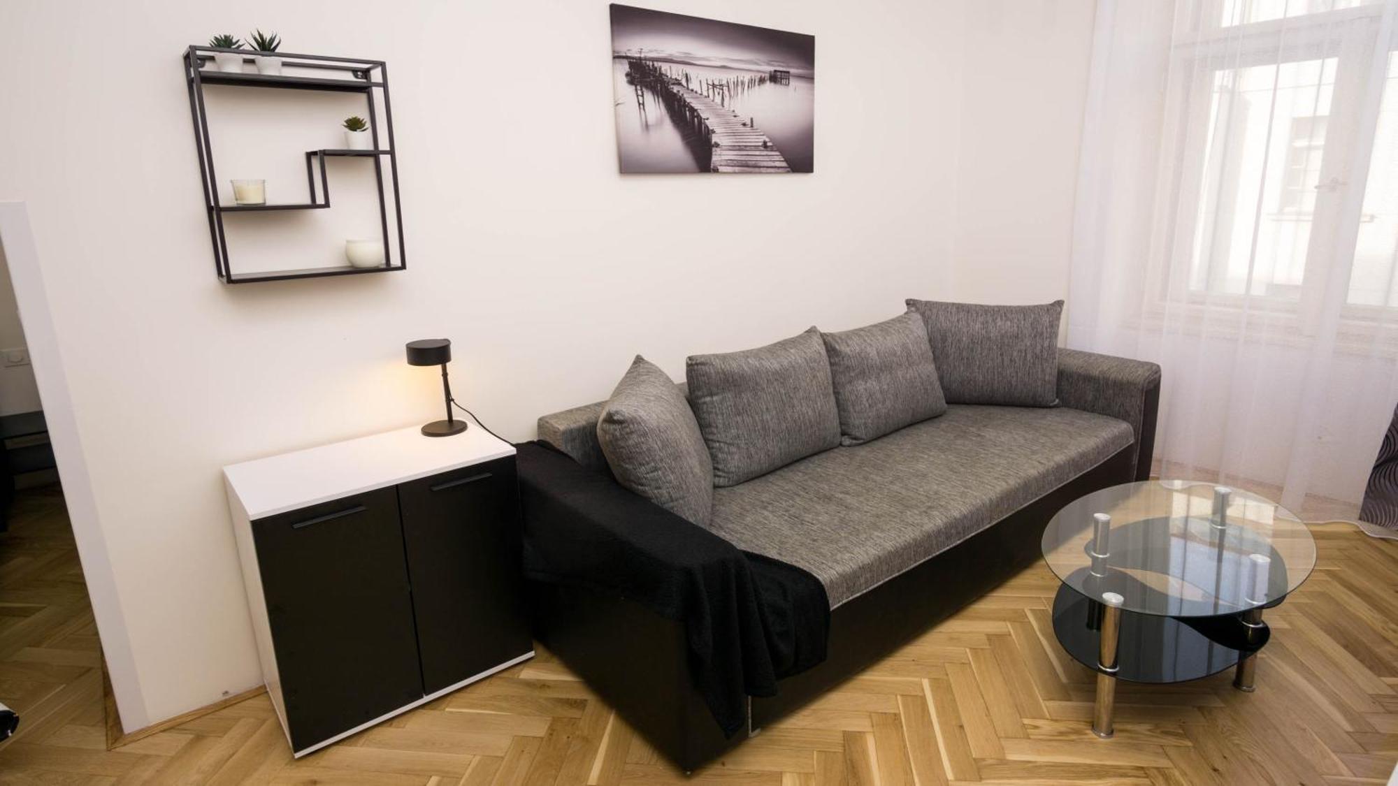 Black & White Apartment Prague By Wenceslas Square And Muzeum Rom bilde